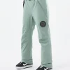 Snowboardhosen<Dope Snow Blizzard W 2022 FadedGreen