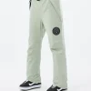 Snowboardhosen<Dope Snow Blizzard W 2022 SoftGreen